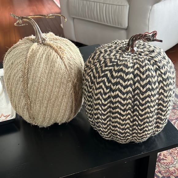 Other - Natural Fiber set of 2 Pumpkins